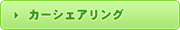 �J�[�V�F�A�����O