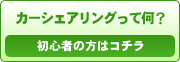 �J�[�V�F�A�����O���ĉ��H�@���S�҂̕��̓R�`��